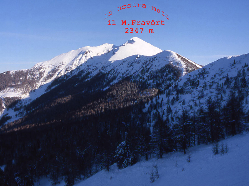 Panarotta e Monte Fravòrt..............escursione