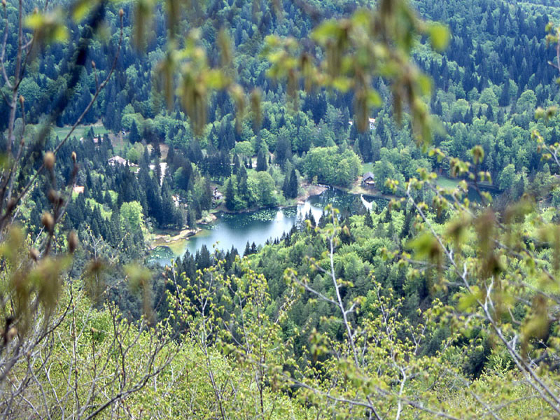 Laghi.......del TRENTINO