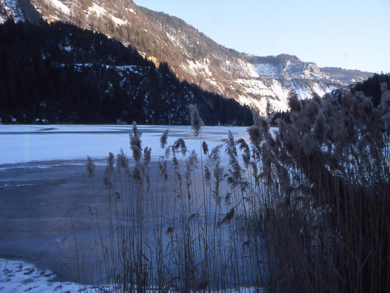 Laghi.......del TRENTINO