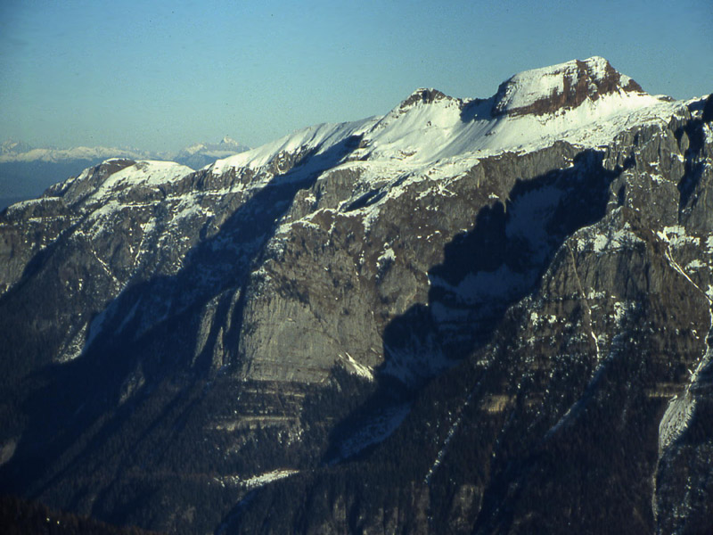 Ursus arctos.....l''habitat