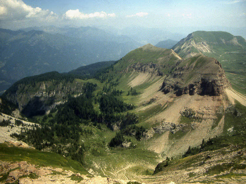 Ursus arctos.....l''habitat