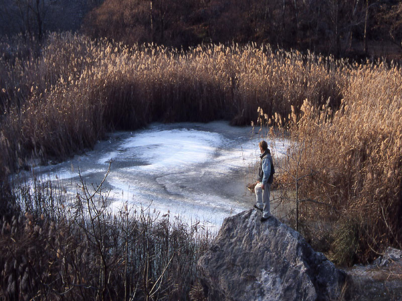 Laghi.......del TRENTINO