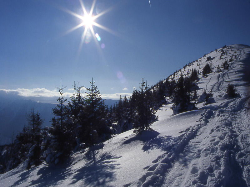 Panarotta e Monte Fravrt..............escursione