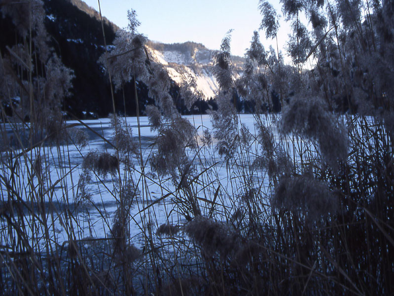 Laghi.......del TRENTINO