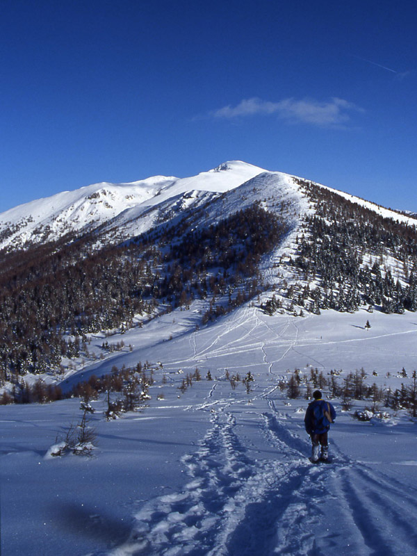 Panarotta e Monte Fravrt..............escursione