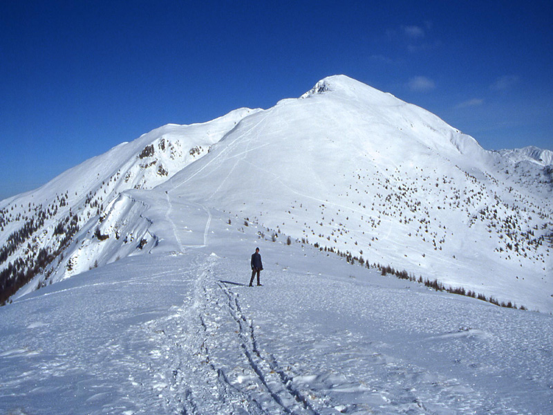 Panarotta e Monte Fravrt..............escursione