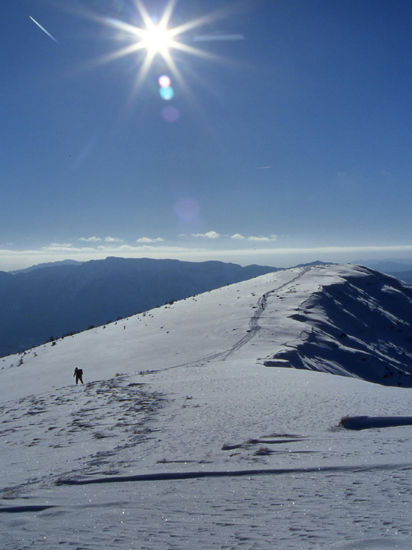 Panarotta e Monte Fravrt..............escursione