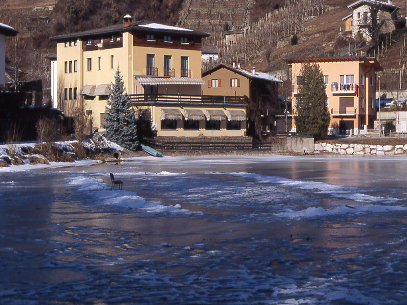 Laghi.......del TRENTINO