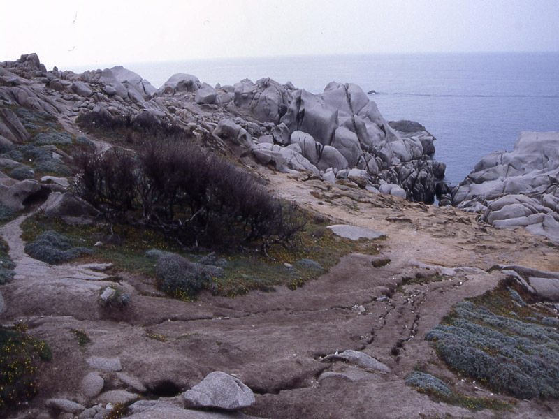 a N della Sardegna....in Gallura