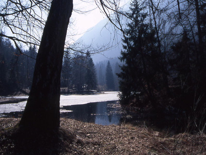 Laghi.......del TRENTINO