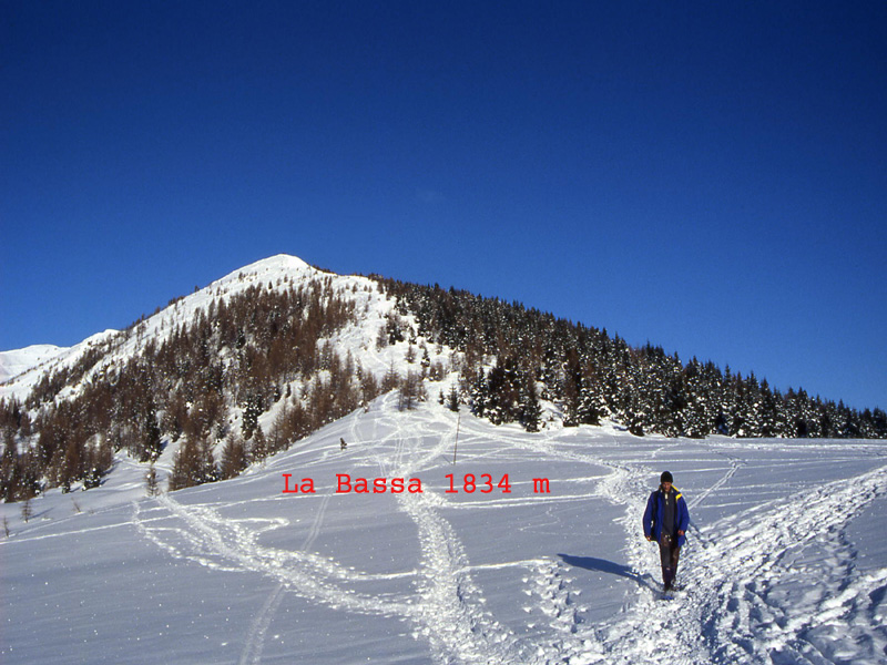 Panarotta e Monte Fravòrt..............escursione