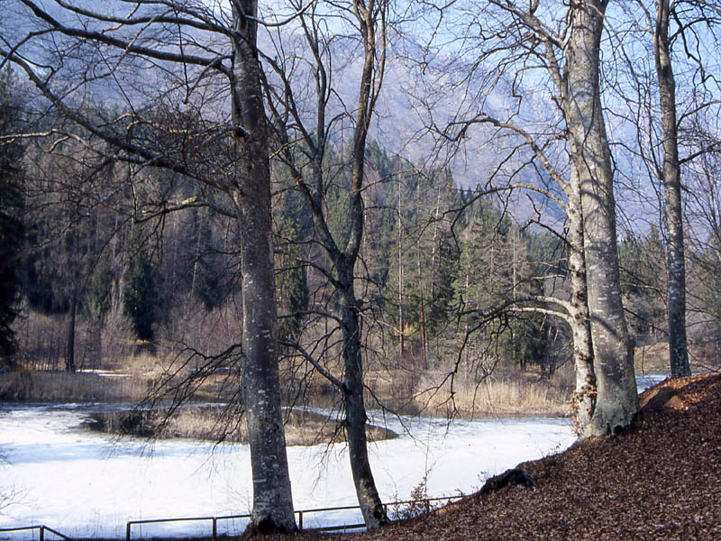 Laghi.......del TRENTINO