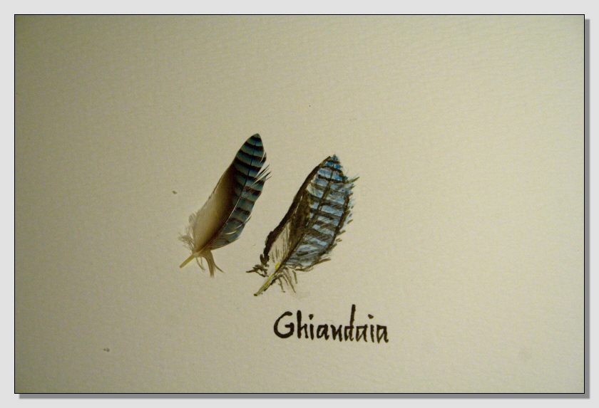 Disegno naturalistico 2Lezione