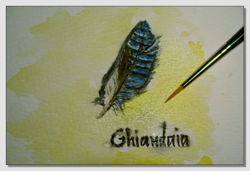 Disegno naturalistico 2Lezione
