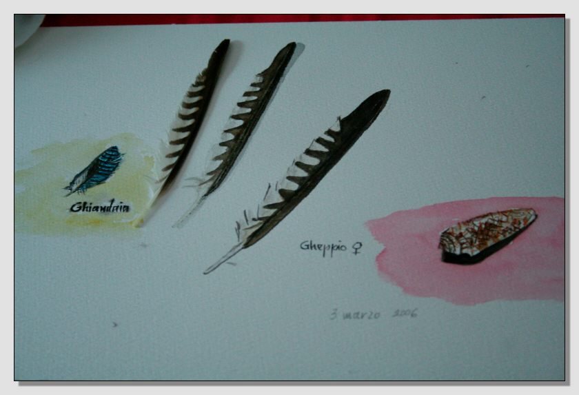 Disegno naturalistico 2Lezione