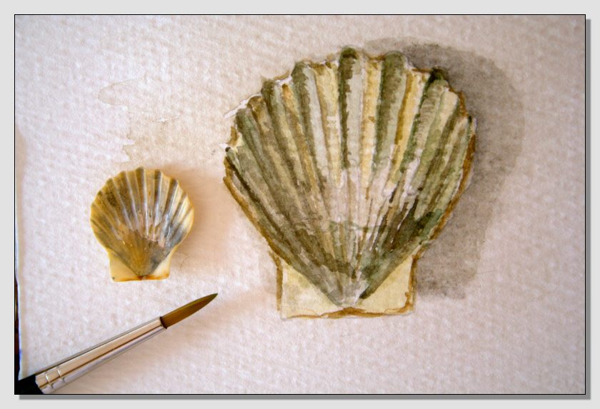 Disegno naturalistico 4 lezione