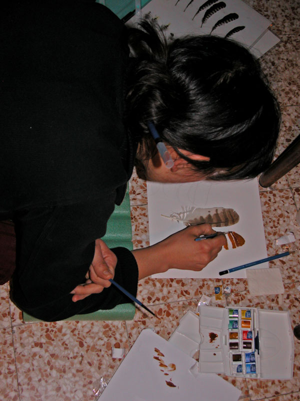 Disegno naturalistico 2Lezione