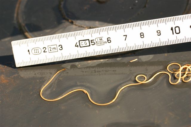 Gordius sp.