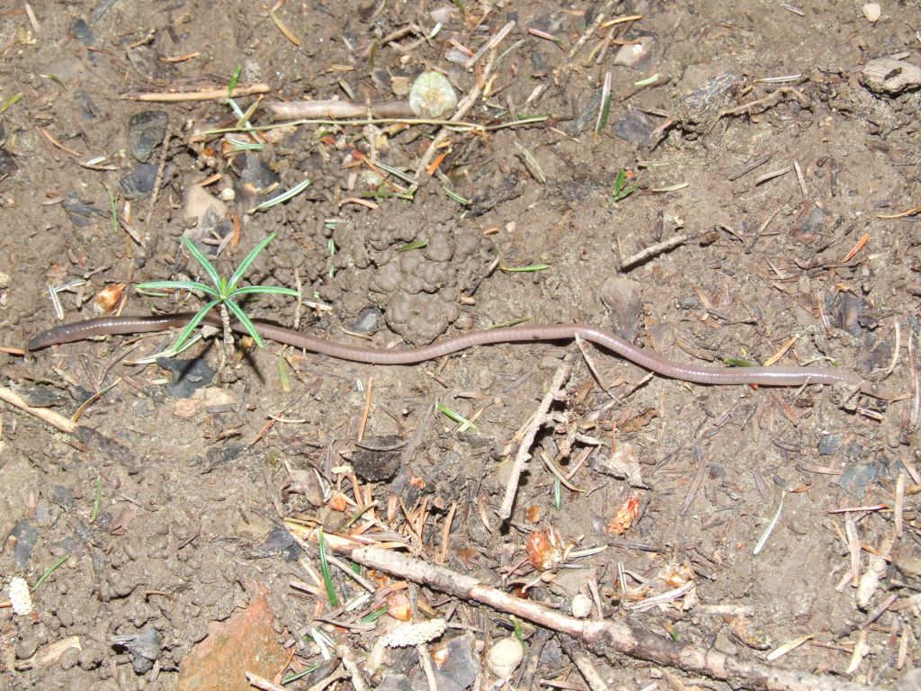 Oggi Naturamediterraneo in escursione.