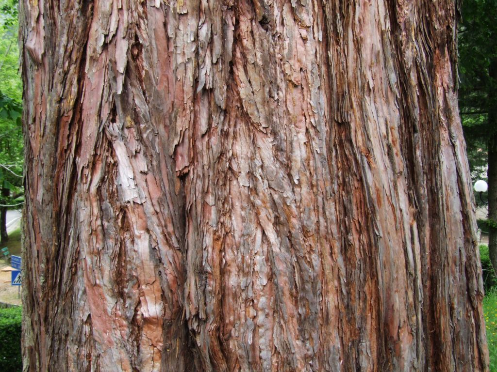 Oggi Naturamediterraneo in escursione.