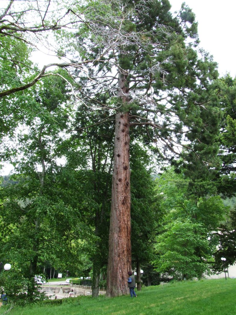 Oggi Naturamediterraneo in escursione.