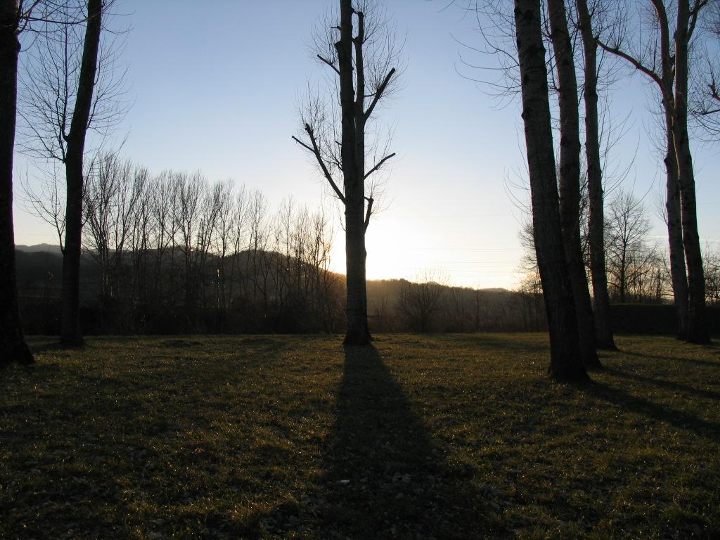Controluce...