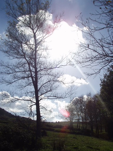 Controluce...