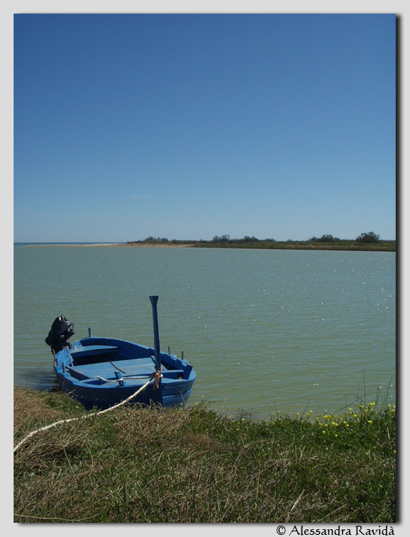 SIC Sicilia: Foce fiume Simeto e lago Gornalunga (ITA070001)