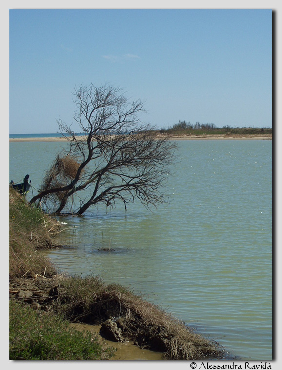 SIC Sicilia: Foce fiume Simeto e lago Gornalunga (ITA070001)