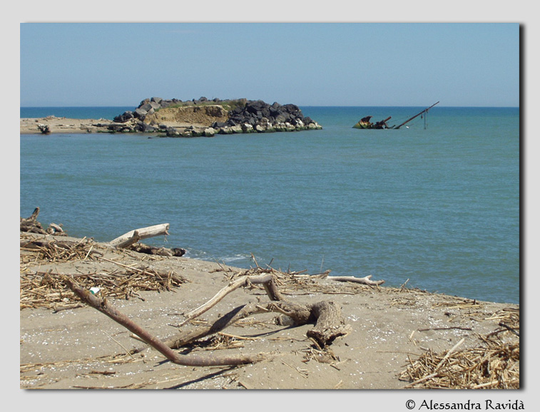 SIC Sicilia: Foce fiume Simeto e lago Gornalunga (ITA070001)