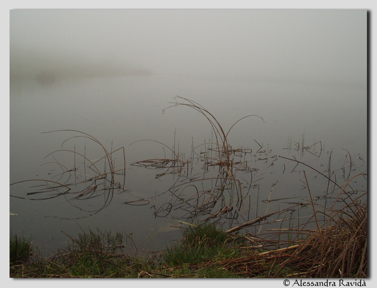 Laghi......della SICILIA