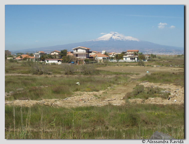 SIC Sicilia: Foce fiume Simeto e lago Gornalunga (ITA070001)