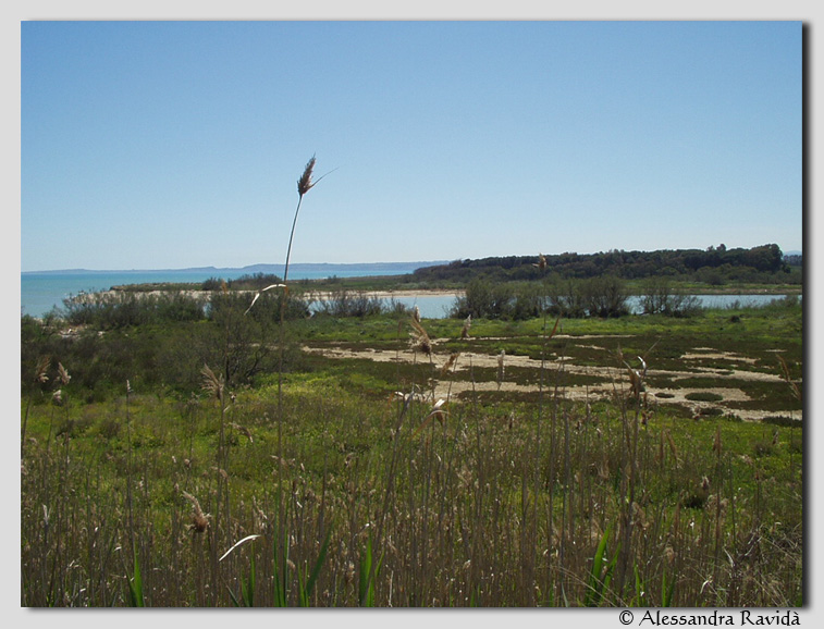 SIC Sicilia: Foce fiume Simeto e lago Gornalunga (ITA070001)