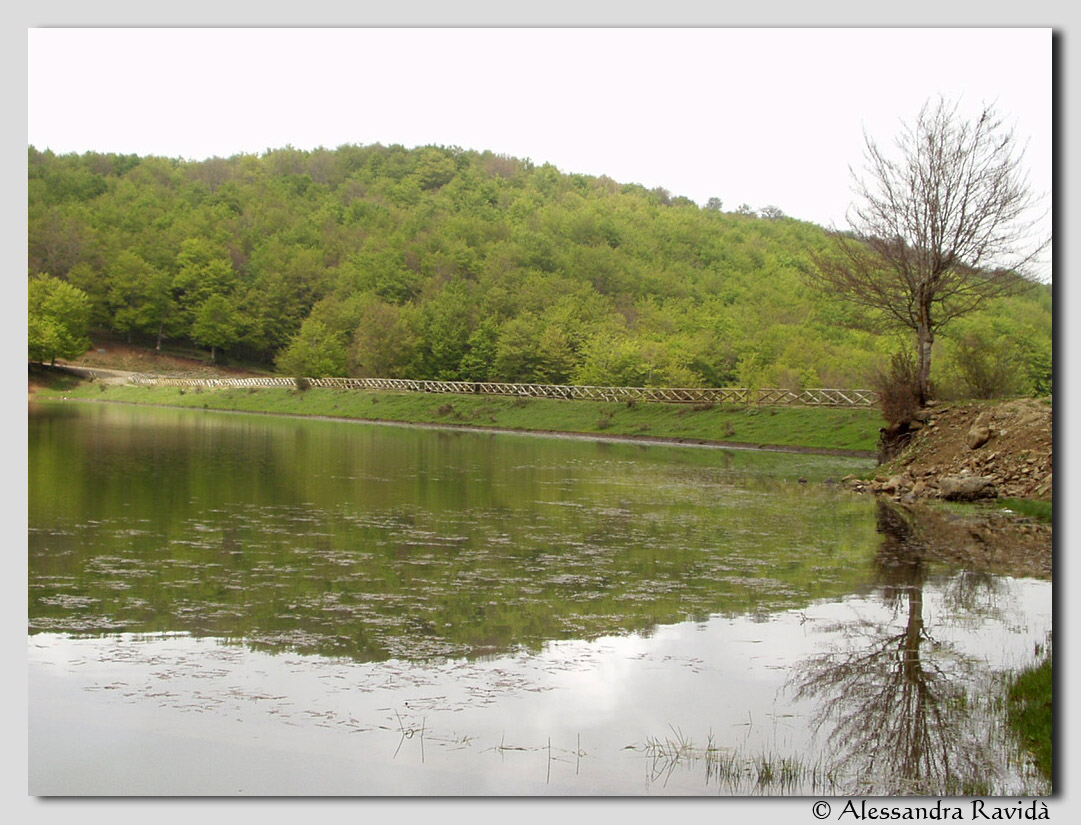 Laghi......della SICILIA