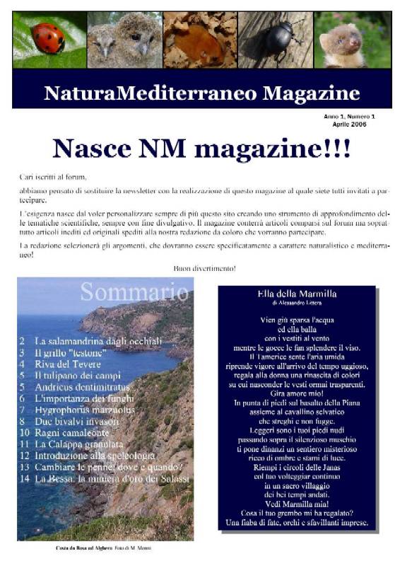 Nasce NM MAGAZINE N.1 APRILE