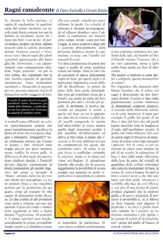 Nasce NM MAGAZINE N.1 APRILE