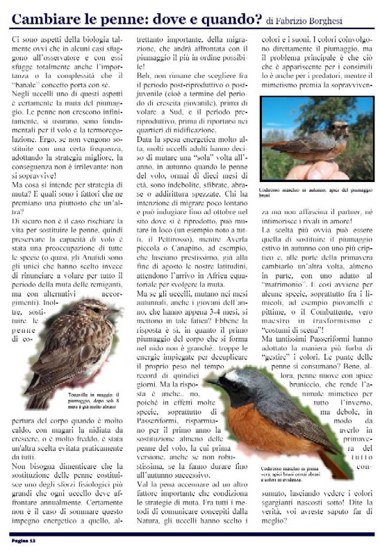 Nasce NM MAGAZINE N.1 APRILE