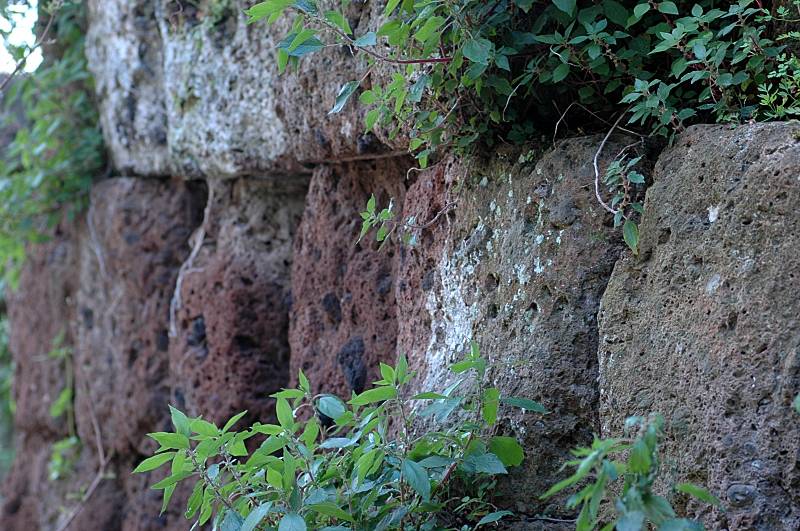 I Monti Ceriti intorno a Cerveteri: i Vignali