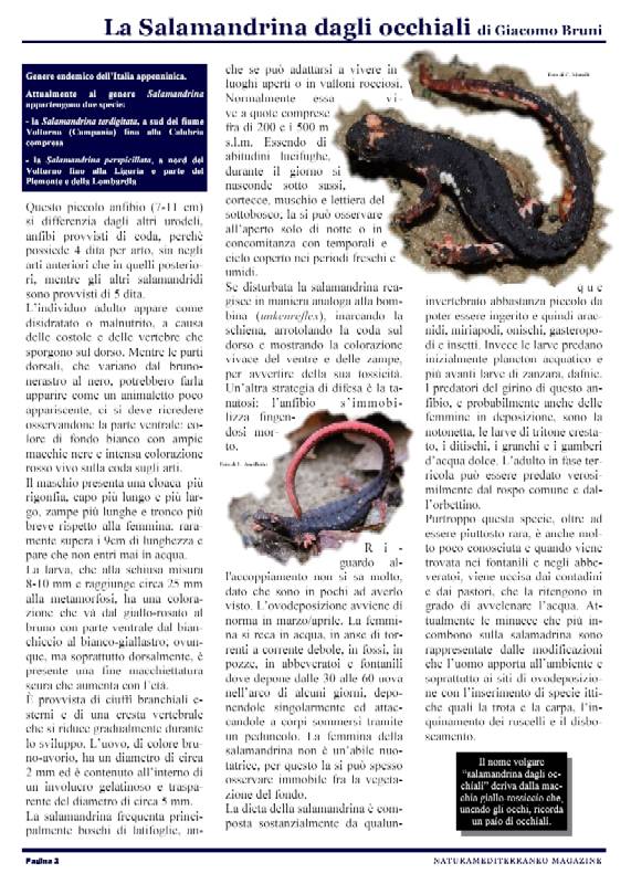 Nasce NM MAGAZINE N.1 APRILE