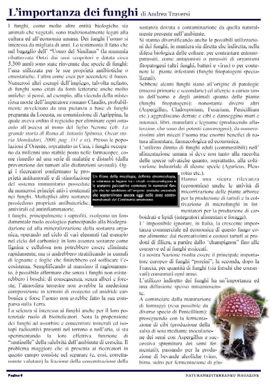 Nasce NM MAGAZINE N.1 APRILE