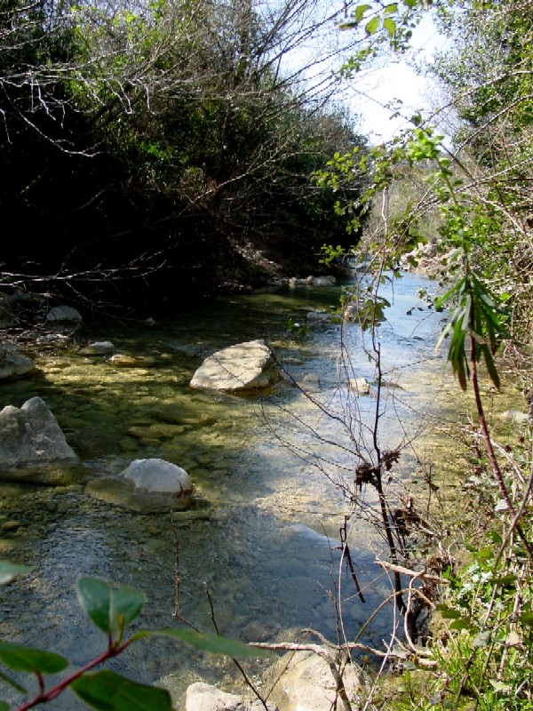 Monti della Tolfa: Rio fiume