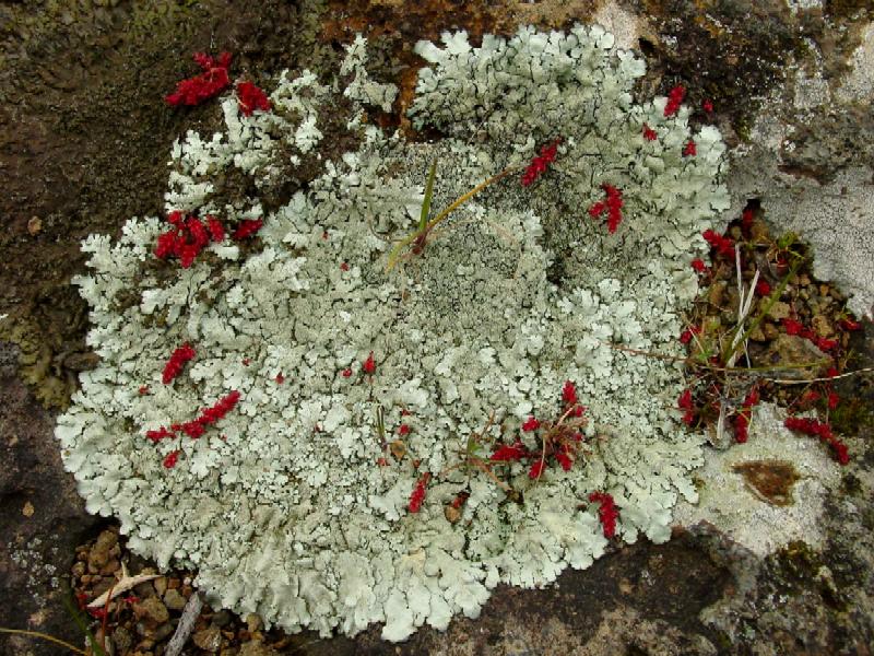 Nei pressi della necropoli di Cerveteri