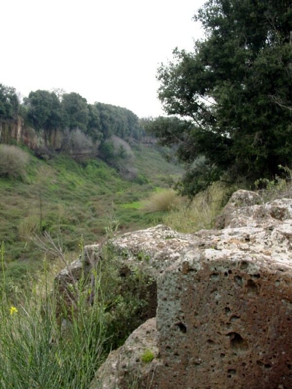 Nei pressi della necropoli di Cerveteri