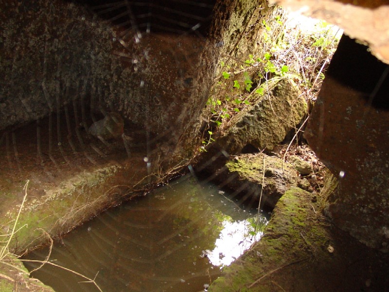 Nei pressi della necropoli di Cerveteri