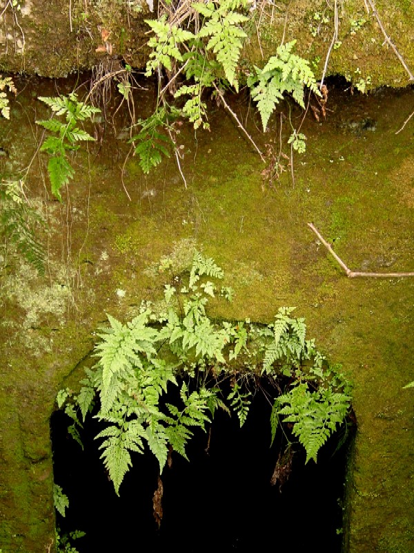 Nei pressi della necropoli di Cerveteri