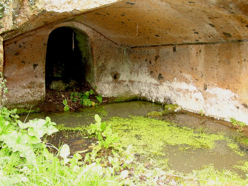 Nei pressi della necropoli di Cerveteri