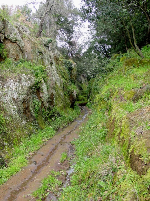 Nei pressi della necropoli di Cerveteri