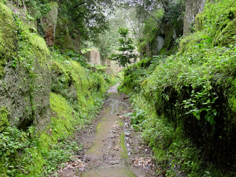 Nei pressi della necropoli di Cerveteri