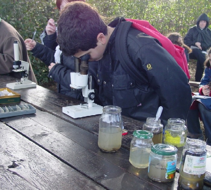Educazione ambientale: l''uso dei cinque sensi