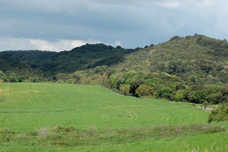 I Monti Ceriti intorno a Cerveteri: i Vignali